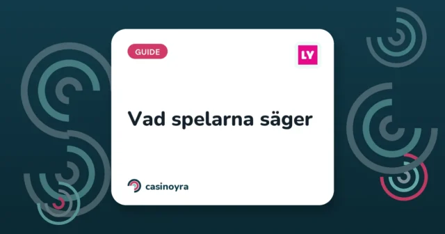 Vad spelarna säger